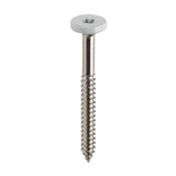 TimberTech TOPLoc for Composite Fascia Ivory 80 LF (100 1 3/4-in Screws, 1-bit)