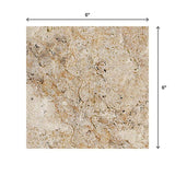 Travisano Trevi 6 in. x 6 in. Porcelain Floor and Wall Tile (10.12 sq. ft. / case)