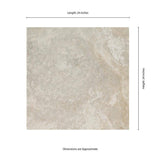 MSI Trevi Silver 2 cm. x 24 in. x 24 in. Matte Porcelain Paver Tile (8 sq.ft/Case)