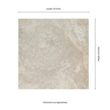 MSI Trevi Silver 2 cm. x 24 in. x 24 in. Matte Porcelain Stone Look Paver Floor Tile (30 Cases/240 sq. ft./Pallet)