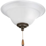 Progress Lighting Trinity Collection 2-Light Unfinished Ceiling Fan Light Kit