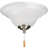 Progress Lighting Trinity Collection 2-Light Unfinished Ceiling Fan Light Kit