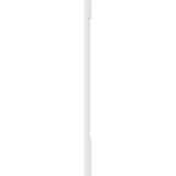 Ekena Millwork 2 in. x 4 in. x 48 in. Raised Panel PVC Pilaster Moulding with Standard Capital and Base (Pair)