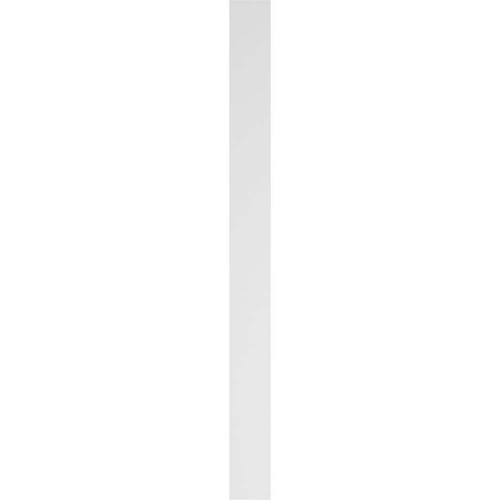 Ekena Millwork 2 in. x 4 in. x 48 in. Raised Panel PVC Pilaster Moulding with Standard Capital and Base (Pair)