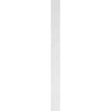 Ekena Millwork 2 in. x 4 in. x 48 in. Raised Panel PVC Pilaster Moulding with Standard Capital and Base (Pair)