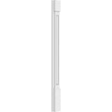Ekena Millwork 2 in. x 4 in. x 48 in. Raised Panel PVC Pilaster Moulding with Standard Capital and Base (Pair)
