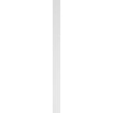Ekena Millwork 2 in. x 4 in. x 60 in. 2-Equal Raised Panel PVC Pilaster Moulding with Decorative Capital and Base (Pair)