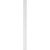 Ekena Millwork 2 in. x 6 in. x 82 in. Fluted PVC Pilaster Moulding with Standard Capital and Base (Pair)