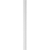 Ekena Millwork 2 in. x 7 in. x 96 in. Raised Panel PVC Pilaster Moulding with Decorative Capital and Base (Pair)
