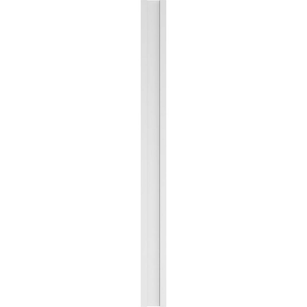 Ekena Millwork 2 in. x 8 in. x 96 in. Raised Panel PVC Pilaster Moulding with Standard Capital and Base (Pair)