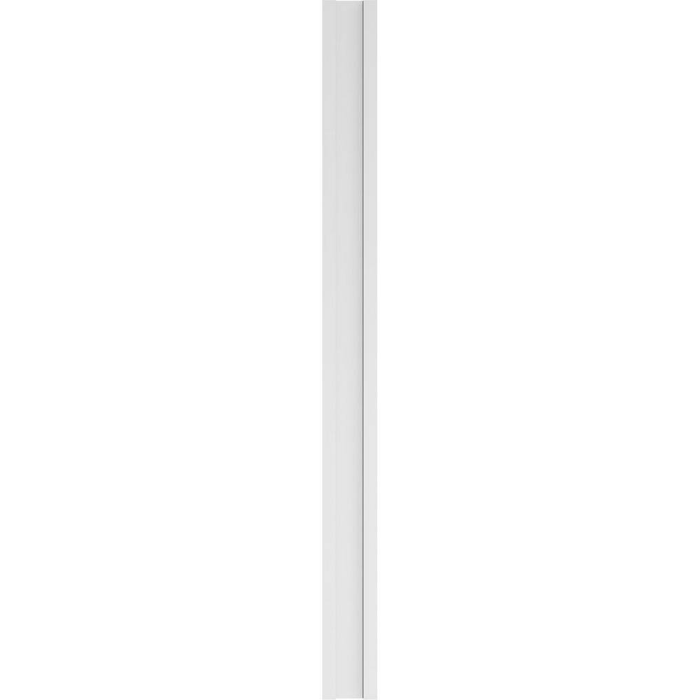 Ekena Millwork 2 in. x 8 in. x 102 in. 2-Equal Raised Panel PVC Pilaster with Standard Capital and Base (Pair)