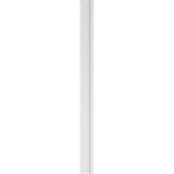 Ekena Millwork 2 in. x 8 in. x 102 in. 2-Equal Raised Panel PVC Pilaster with Standard Capital and Base (Pair)