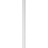 Ekena Millwork 2 in. x 8 in. x 108 in. 2 Equal Raised Panel PVC Pilaster with Decorative Capital and Base Moulding (Pair)