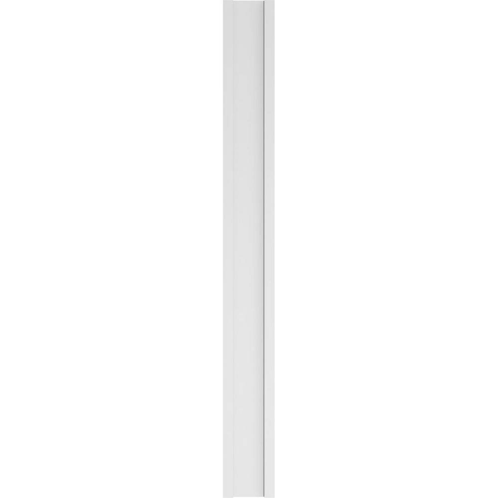 Ekena Millwork 2 in. x 10 in. x 96 in. 2-Equal Raised Panel PVC Pilaster Moulding with Standard Capital and Base (Pair)