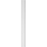 Ekena Millwork 2 in. x 12 in. x 120 in. 2-Equal Raised Panel PVC Pilaster Moulding with Decorative Capital and Base (Pair)