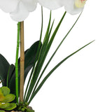 Vanity Art 23. 23 in. H Artificial Phalaenopsis Orchids with Succulents Floral Arrangement in Pot