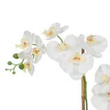 Vanity Art 23. 23 in. H Artificial Phalaenopsis Orchids with Succulents Floral Arrangement in Pot