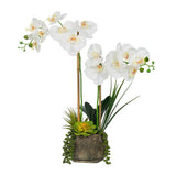 Vanity Art 23. 23 in. H Artificial Phalaenopsis Orchids with Succulents Floral Arrangement in Pot