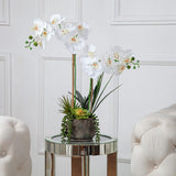Vanity Art 23. 23 in. H Artificial Phalaenopsis Orchids with Succulents Floral Arrangement in Pot