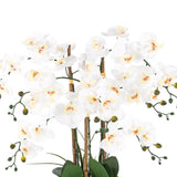 Vanity Art 27.95 in. H Phalaenopsis Orchids Floral Arrangement in Bamboo Woven Pot
