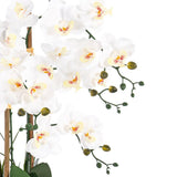 Vanity Art 27.95 in. H Phalaenopsis Orchids Floral Arrangement in Bamboo Woven Pot