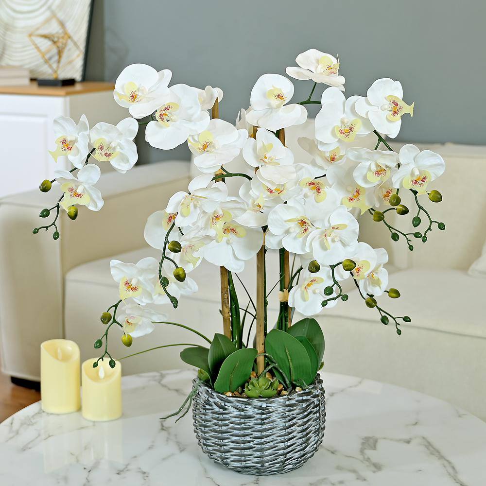 Vanity Art 27.95 in. H Phalaenopsis Orchids Floral Arrangement in Bamboo Woven Pot