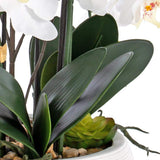 Vanity Art 36.22 in. H Artificial Phalaenopsis Orchids Floral Arrangement in Pot