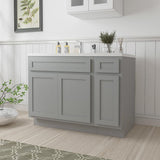 Vanity Art 42 in. W x 21 in. D x 32.5 in. H Bath Vanity Cabinet without Top in Gray