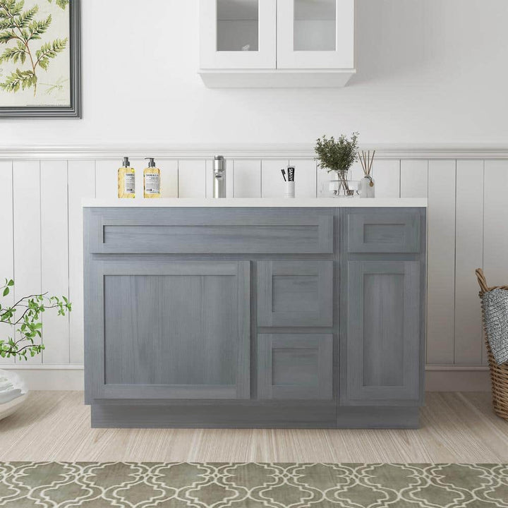 Vanity Art 48 in. W x 21 in. D x 32.5 in. H Bath Vanity Cabinet without Top in Silver