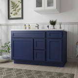 Vanity Art 51 in. W x 21 in. D x 32.5 in. H Bath Vanity Cabinet without Top in Blue