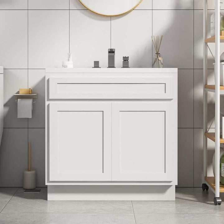 Vanity Art 30 in. W x 21 in. D x 32.5 in. H 2-Doors Bath Vanity Cabinet Only in White