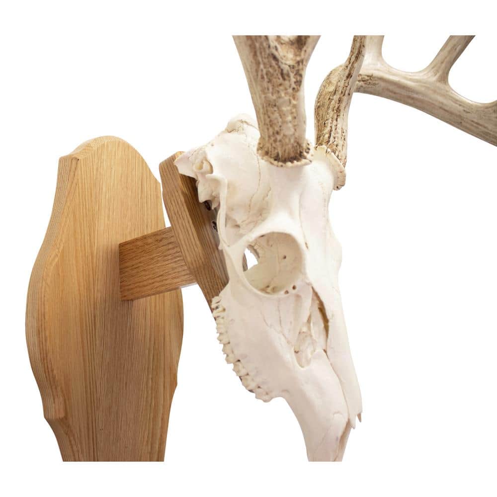 Walnut Hollow Solid Oak Euro Mount Kit