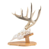 Walnut Hollow Solid Oak Euro Mount Kit