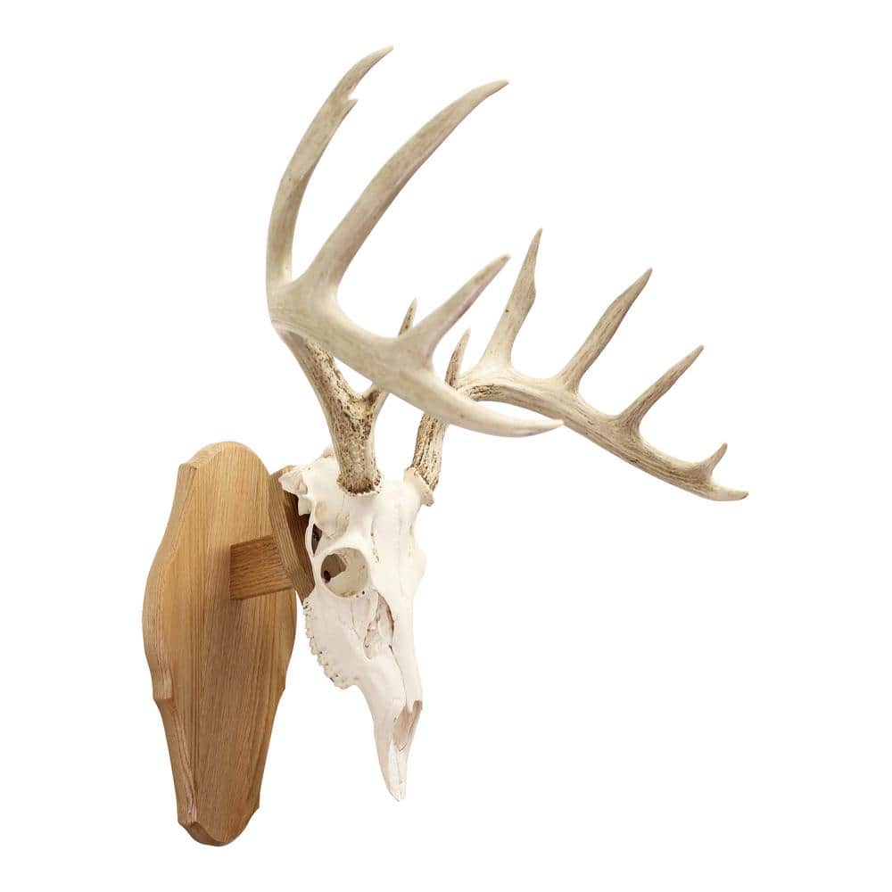 Walnut Hollow Solid Oak Euro Mount Kit