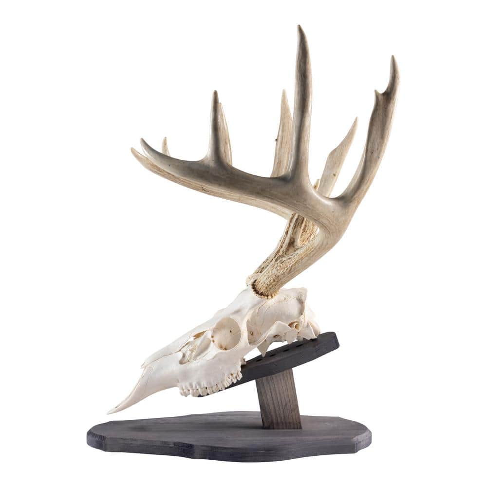 Walnut Hollow Rustic Pine Euro Mount Kit