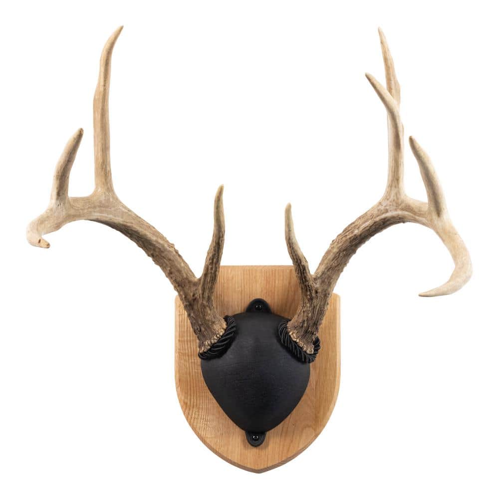 Walnut Hollow Solid Cherry Euro Mount Kit