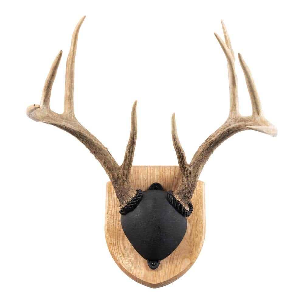 Walnut Hollow Solid Cherry Euro Mount Kit