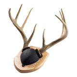 Walnut Hollow Solid Cherry Euro Mount Kit