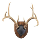 Walnut Hollow Solid Walnut Antler Mount Kit