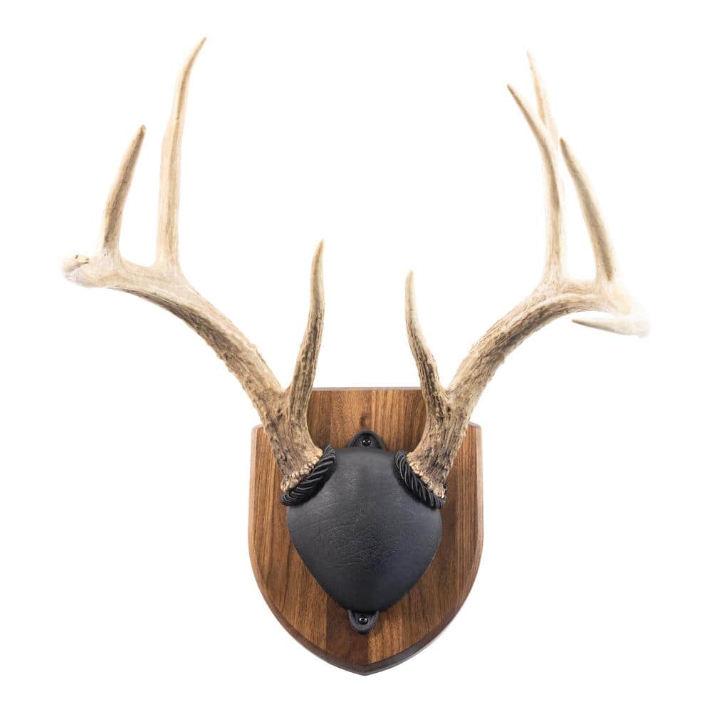 Walnut Hollow Solid Walnut Antler Mount Kit