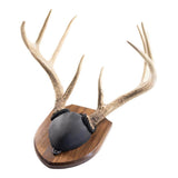 Walnut Hollow Solid Walnut Antler Mount Kit