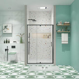 waterpar 38 in. to 42 in. W x 71 in. H Framed Pivot Shower Door in Black with Clear Glass