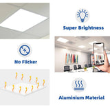 Bieuoram 2 ft. x 2 ft. 5800 Lumens Integrated LED Panel Light, 5000K Daylight, Dimmable 2x2 Recessed Edge-Lit Fixture (2 Pack)