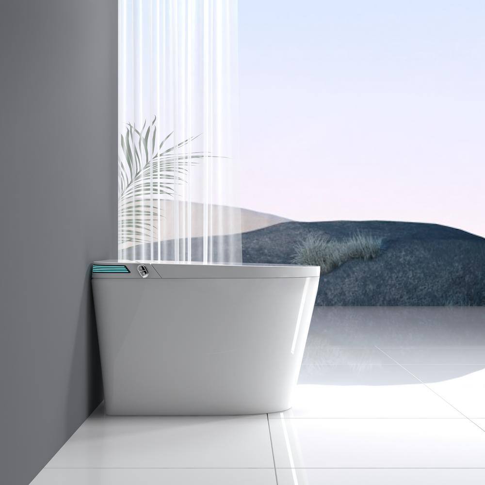 Boosicavelly Elongated Bidet Toilet with Heated Seat & LED Display