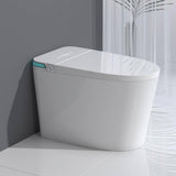Boosicavelly Elongated Bidet Toilet with Heated Seat & LED Display