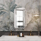 Boosicavelly 15.74 in. W x 23.60 in. H Rectangular Metal Medicine Cabinet with Mirror