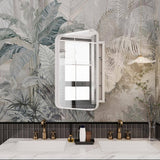 Boosicavelly 15.74 in. W x 23.60 in. H Rectangular Metal Medicine Cabinet with Mirror