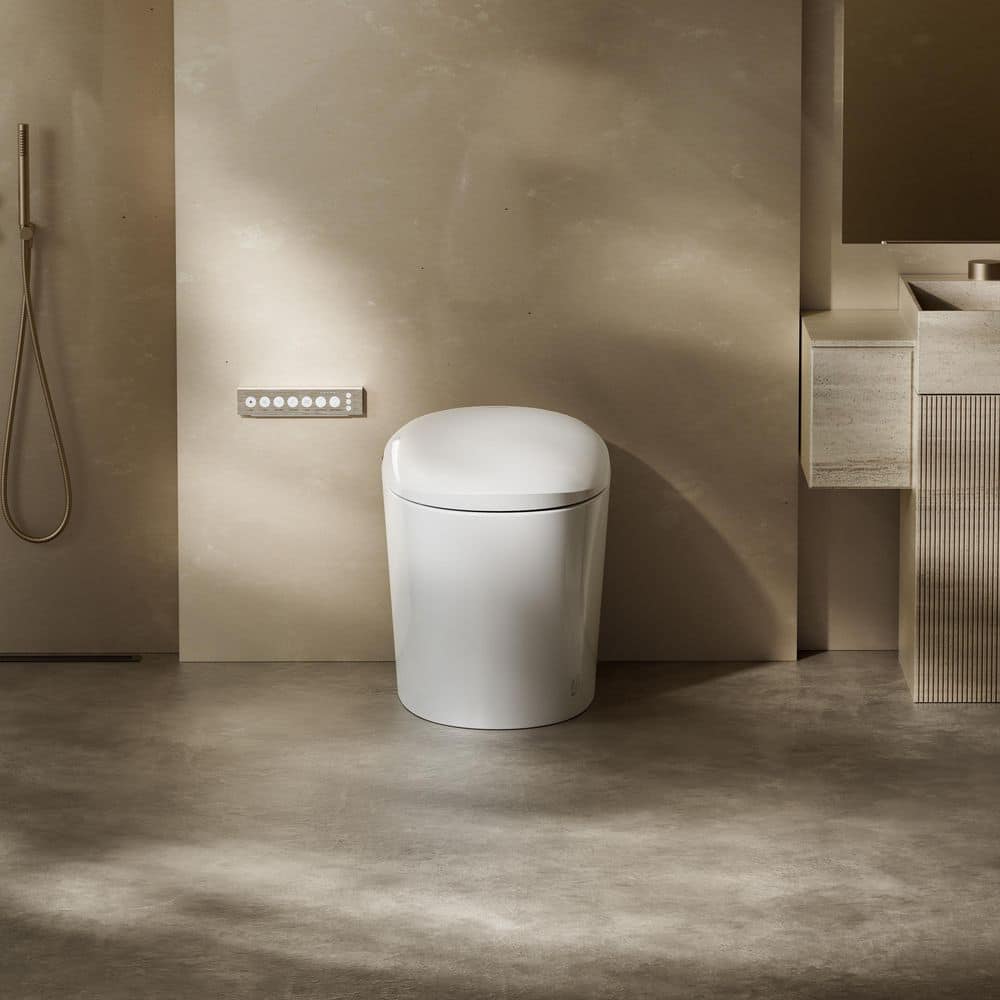 CANEST Elongated Smart Bidet Toilet Single Flush 1.08/1.45 GPF with Heated Seat and Remote
