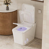 CASAINC Electric Smart Bidet Toilet with Auto Flushing and Antibacterial Seat