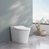 CASAINC Elongated Smart Toilet Bidet with Multi Washing and UV Sterilization